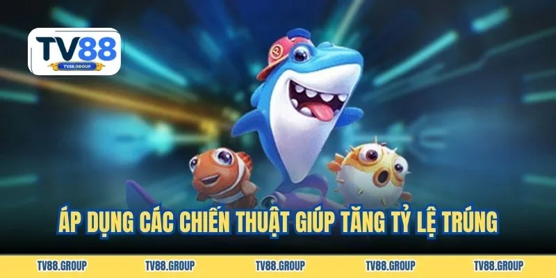 Áp dụng các chiến thuật giúp tăng tỷ lệ trúng