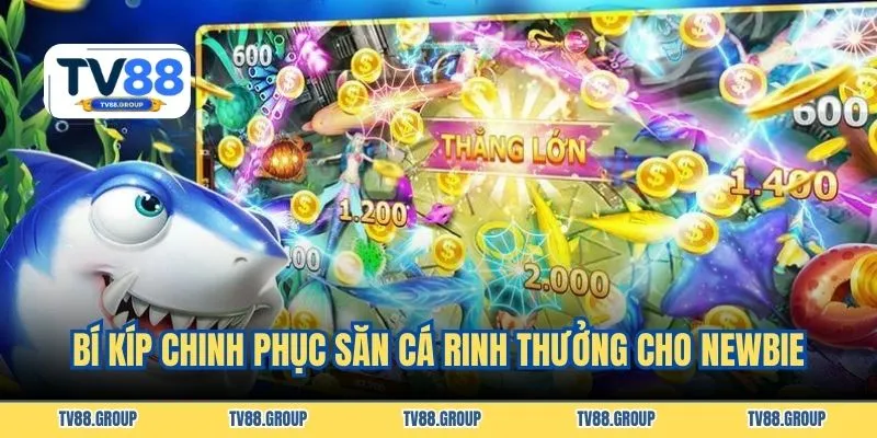 Bí kíp chinh phục săn cá rinh thưởng cho newbie