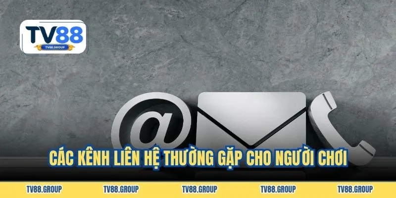 Các kênh liên hệ thường gặp cho người chơi