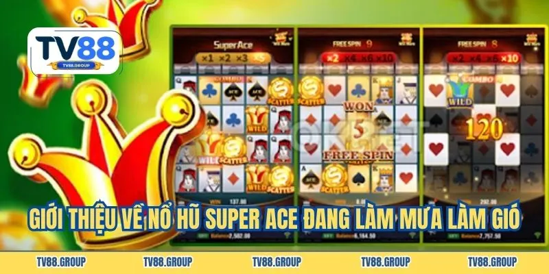 Giới thiệu về nổ hũ Super Ace đang làm mưa làm gió