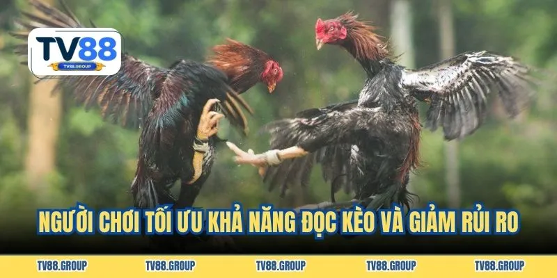 Người chơi tối ưu khả năng đọc kèo và giảm rủi ro