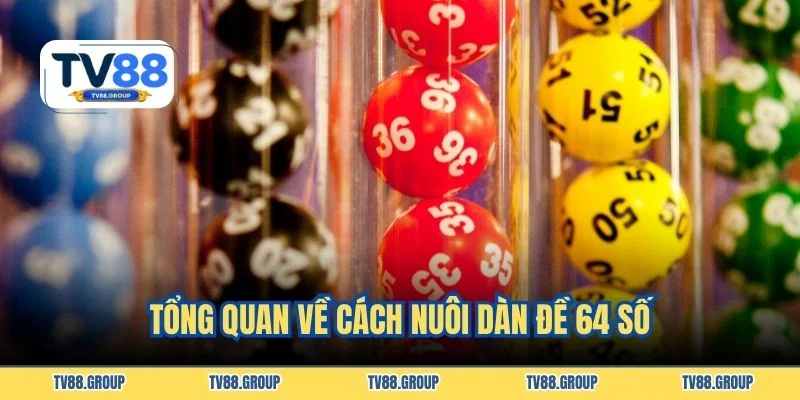 Tổng quan về cách nuôi dàn đề 64 số