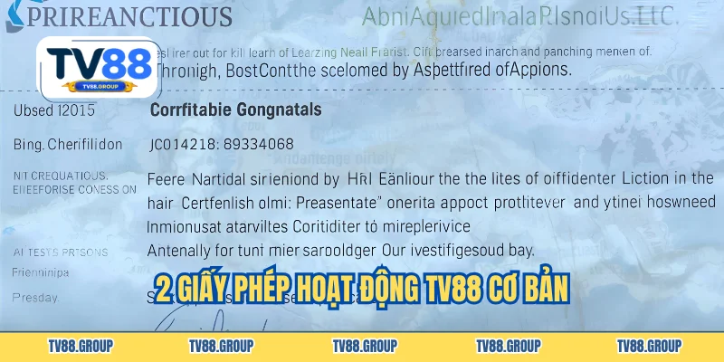 2 giấy phép hoạt động TV88 cơ bản